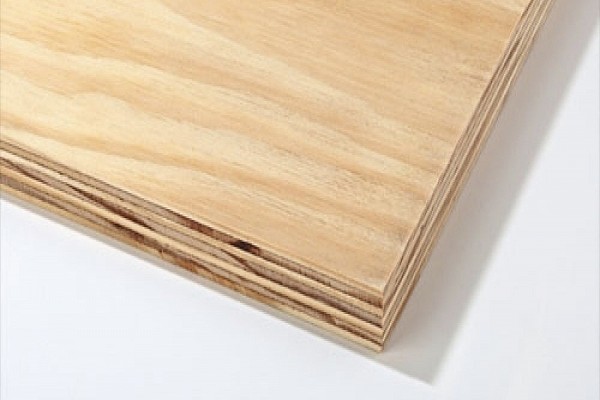 Elliottis/Pine Plywood