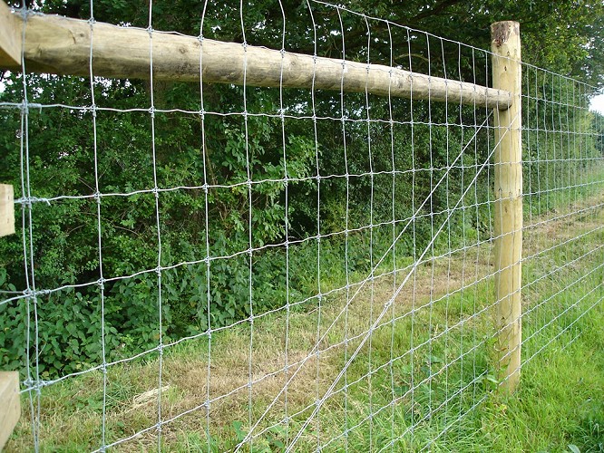 Stock-wire-fencing