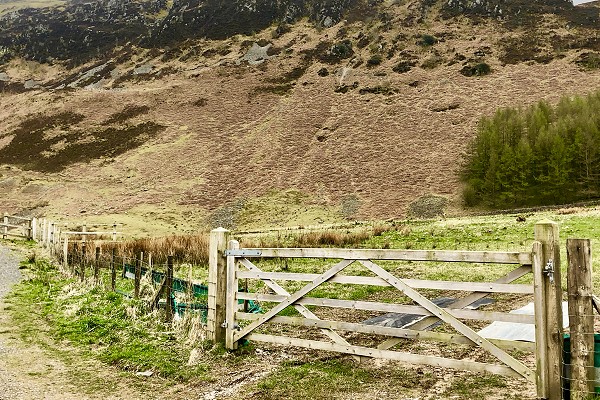 Universal Softwood Gate